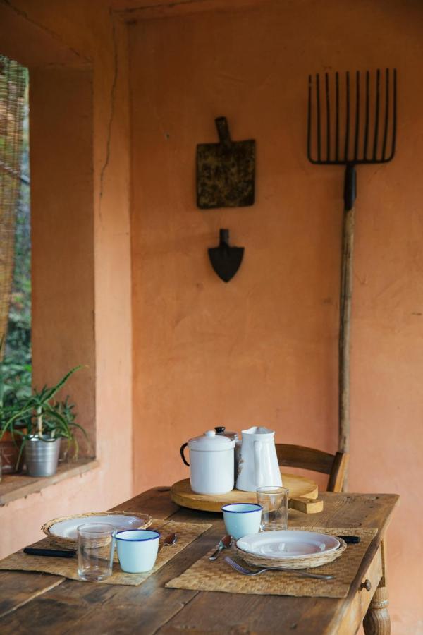 Studio/Flat Rustic Tuscan Marziani 2 Capannori Exteriör bild