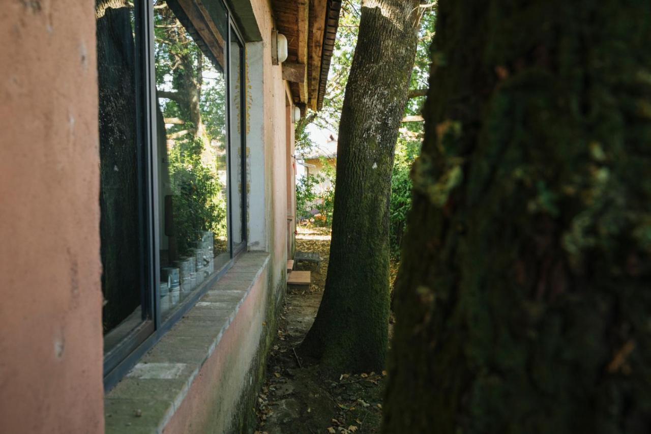 Studio/Flat Rustic Tuscan Marziani 2 Capannori Exteriör bild